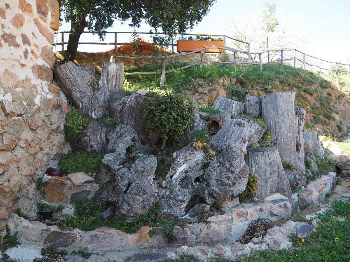 Mas Cal Sastre ξενώνας Sant Hilari Sacalm Εξωτερικό φωτογραφία